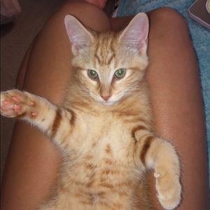 Meet your Posher, Riley